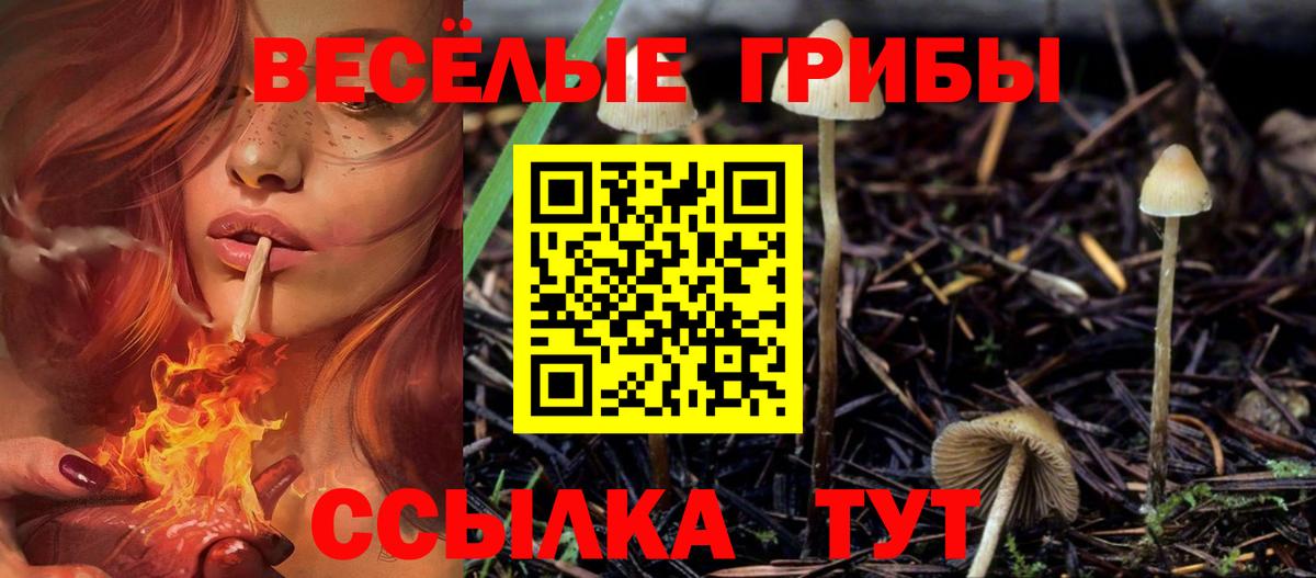 Псилоцибиновые грибы Cubensis Железногорск